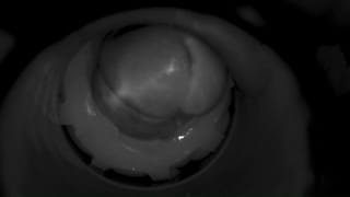 Dirty Talking Daddy Shoots a 14-day Load inside his Babygirl