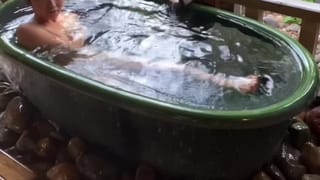 Open -air Bath of Cherry Blossoms and Bamboo