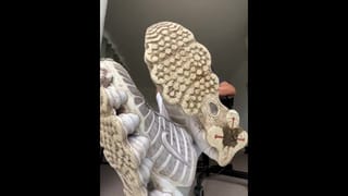 Scally Lad Showing Dirty Nike Shox - Pornhub Gay