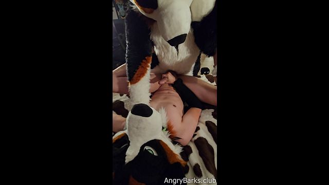 Take my Knot again - Pornhub Gay