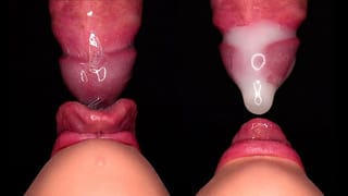 CLOSE UP: BEST Bottom View CONDOM BLOWJOB! she BROKE the CONDOM and STARTS PLAYING with CUM! ASMR 4K
