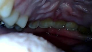 Just Keeping you in my Mouth [prey POV]