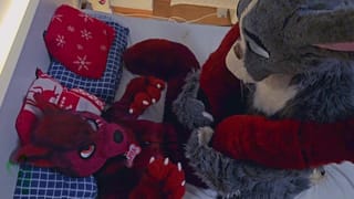 Furry Bunny Fucks a Tiny Hot Female Wolf (Murrsuit Porn)