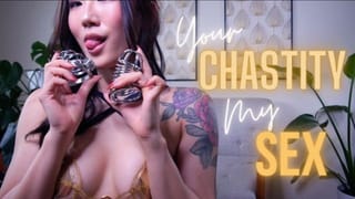 Your Chastity my Sex