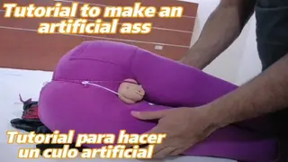 Tutorial to make an Artificial Ass