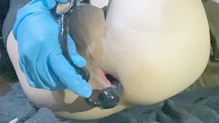 Japanese Sissy Pulls out and makes her Twitch - Pornhub Gay