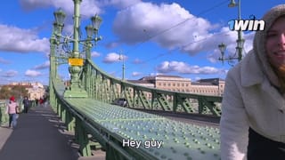 Hairy Pussy in Search of Adventure
