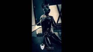 Latex Dog Suit Puppy Slave Training (Session 23)