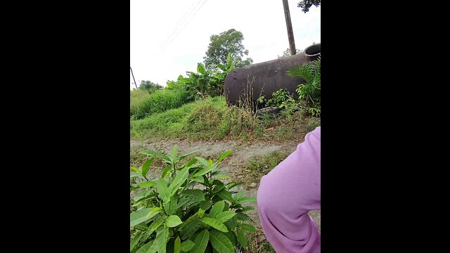 Step Sister Gets Sneakily Fucked in Public where everyone Passes by and can see