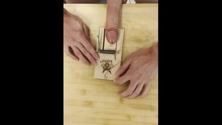 CBT | Dick Caught in a Rattrap - Pornhub Gay