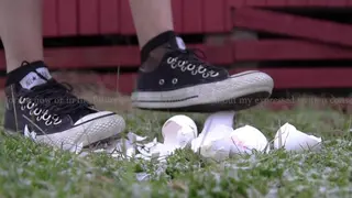Crushing Eggshells Wearing Converse all Star | Sneakers