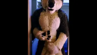 Gay Wolf porn video – Wolf Fursuit Sheath Paw off and Cum 💦 - Pornhub Gay
