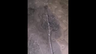 Bed Piss