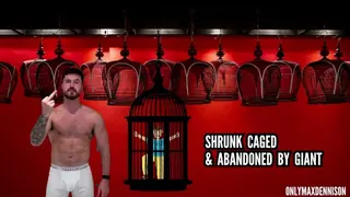 Shrunk Caged & Abandoned by Giant - Pornhub Gay