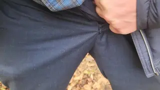 Pee Desperation for a Driving Male not enough Public Toilets