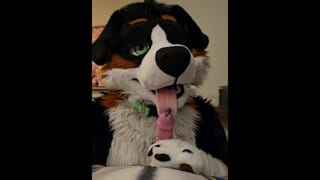 Horny Murrsuiter AngryBarks Licks and Teases ManedStripes - Pornhub Gay