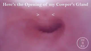 Exploring my Peehole and Finding where I CUM from