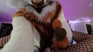 Furry Femboy getting Bent in half and Roughly Fucked with a Strap On! (In Fullsuit) - Pornhub Gay