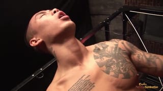 Stud Gets to Fuck a MILF with Long Blonde Hair in Doggy