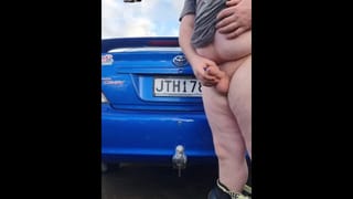 White Kiwi Bear Fucks Car Tow Ball, Hand Brake, Gear Shifter and Oil Dipstick. Long Version - Pornhub Gay