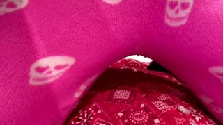 Girl Wetting Pajamas in Bed