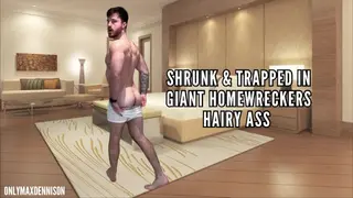 SHRUNK & TRAPPED IN GIANT HOMEWRECKERS HAIRY ASS - Pornhub Gay