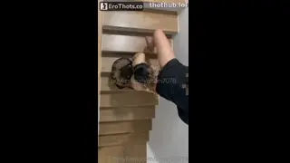 Amam7078 fuck me on the stairs
