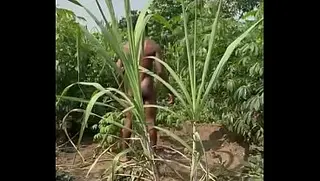 Stilesbhalifa1 porn video – Unexpected Guest, Unexpected Fun