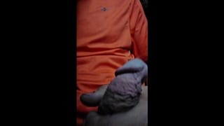 Pumpkin Nuts - Pornhub Gay
