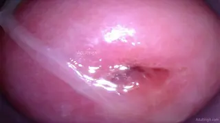 Stomach Contractions porn video – Camera in Vagina Cumming, Cervix Throbbing, Orgasm Contractions, GFE Raw Talk, BTS - my Muse Part 6