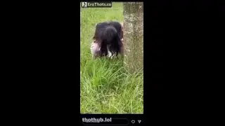 Seleneitor Shitting in the Woods