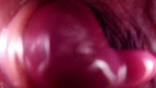 Internal Anal View Large Bad Dragon Rex Pounds my Ass and Cums - Pornhub Gay
