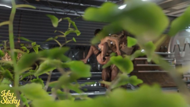 Krogan's Plaything 2