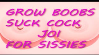 The Ultimate Sissy Game Grow your Boobs Sissy Bois JOI Style BEATS INCLUDED