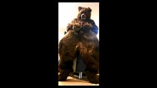 Grizzly Shoots Load 😋🐻 - Pornhub Gay