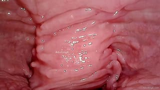 Pussy Contractions Camera in Vagina Cervix POV