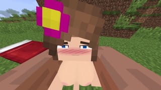 All Minecraft Jenny Animations Part 1 Xhatihentai Gameplay