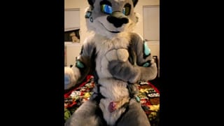 A Lynx Showing off - Pornhub Gay