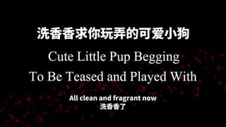 Cute Puppy Boyfriend