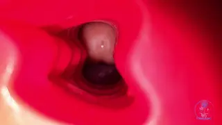 Cock Block Compilation three - Pornhub Gay