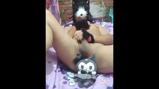 Therian Femboy Asian Soft Porn Shyly Masturbating - Pornhub Gay