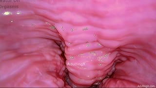 Orgasm from inside my Vagina, Camera in Vagina, Cervix POV, Vibrator on Clit