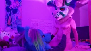 Horny Furries Fuck in College Dorm and almost get Caught