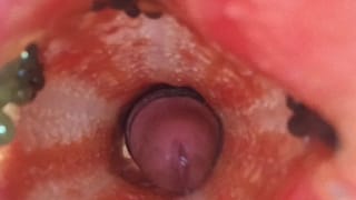 New Video of Fucking Fruit. Papaya's Turn