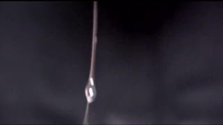 Loads of Precum - Pornhub Gay
