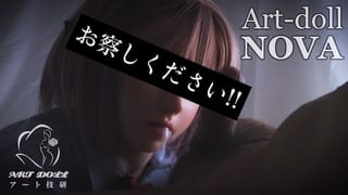 ＃087【人形たちの妄想】【art-doll NOVAシリーズ Dカップ A6ヘッド シリコン製ヘッド＋TPEボディ Ⅰ】
