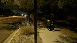 Attempted Fun on our Night Time Walk