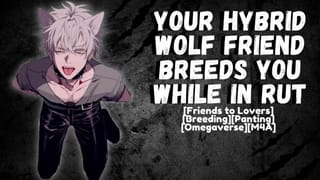 Your Hybrid Wolf Friend Breeds you while in Rut - Pornhub Gay
