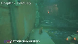 Can't Catch me - Stray - Trophy / Achievement Guide