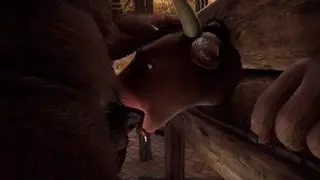 Lovely Slaves | Furry | Wild Life